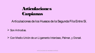 Articulaciones
Carpianas
 Son Artrodias.
 Con Medio Unión deun Ligamento Interóseo, Palmar, y Dorsal.
ARTICULACIONES DEL MIEMBRO SUPERIOR
ArticulacionesdelosHuesosdelaSegundaFilaEntreSí.
 