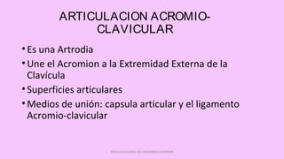 ARTICULACION ACROMIO-
CLAVICULAR
•Es una Artrodia
•Une el Acromion a la Extremidad Externa de la
Clavícula
•Superficies articulares
•Medios de unión: capsula articular y el ligamento
Acromio-clavicular
ARTICULACIONES DEL MIEMBRO SUPERIOR
 