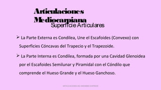 Articulaciones
Mediocarpiana
 La Parte Externa es Condilea, Une el Escafoides (Convexo) con
Superficies Cóncavas del Trapecio y el Trapezoide.
 La Parte Interna es Condilea, formada por una Cavidad Glenoidea
por el Escafoides Semilunar y Piramidal con el Cóndilo que
comprende el Hueso Grande y el Hueso Ganchoso.
ARTICULACIONES DEL MIEMBRO SUPERIOR
SuperficieArticulares
 