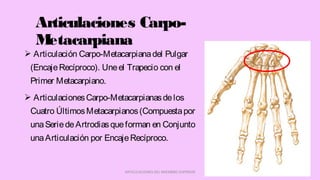  Articulación Carpo-Metacarpianadel Pulgar
(EncajeRecíproco). Uneel Trapecio con el
Primer Metacarpiano.
 ArticulacionesCarpo-Metacarpianasdelos
Cuatro ÚltimosMetacarpianos(Compuestapor
unaSeriedeArtrodiasqueforman en Conjunto
unaArticulación por EncajeRecíproco.
ARTICULACIONES DEL MIEMBRO SUPERIOR
Articulaciones Carpo-
Metacarpiana
 