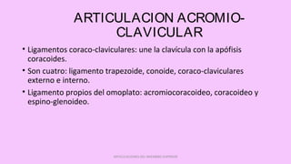 ARTICULACION ACROMIO-
CLAVICULAR
• Ligamentos coraco-claviculares: une la clavícula con la apófisis
coracoides.
• Son cuatro: ligamento trapezoide, conoide, coraco-claviculares
externo e interno.
• Ligamento propios del omoplato: acromiocoracoideo, coracoideo y
espino-glenoideo.
ARTICULACIONES DEL MIEMBRO SUPERIOR
 