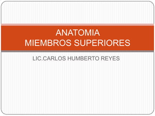 ANATOMIA
MIEMBROS SUPERIORES
 LIC.CARLOS HUMBERTO REYES
 