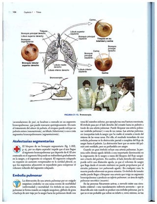 http://MedicoModerno.Blogspot.com
 