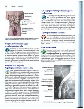 http://MedicoModerno.Blogspot.com
 