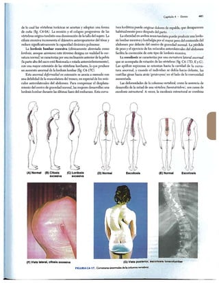 http://MedicoModerno.Blogspot.com
 