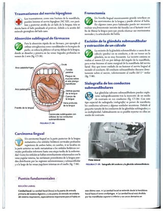 http://MedicoModerno.Blogspot.com
 