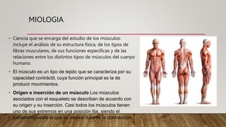 MIOLOGIA
• Ciencia que se encarga del estudio de los músculos:
incluye el análisis de su estructura física, de los tipos de
fibras musculares, de sus funciones específicas y de las
relaciones entre los distintos tipos de músculos del cuerpo
humano.
• El músculo es un tipo de tejido que se caracteriza por su
capacidad contráctil, cuya función principal es la de
producir movimientos.
• Origen e inserción de un músculo Los músculos
asociados con el esqueleto se describen de acuerdo con
su origen y su inserción. Casi todos los músculos tienen
uno de sus extremos en una posición fija, siendo el
extremo opuesto el que se mueve durante la contracción.
 