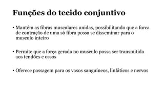 Funções do tecido conjuntivo
• Mantém as fibras musculares unidas, possibilitando que a forca
de contração de uma só fibra possa se disseminar para o
musculo inteiro
• Permite que a força gerada no musculo possa ser transmitida
aos tendões e ossos
• Oferece passagem para os vasos sanguíneos, linfáticos e nervos
 