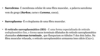 • Sarcolema- É membrana celular de uma fibra muscular, a palavra sarcolema
vem do grego (Sarkos, carne e Lemma, casca).
• Sarcoplasma- É o citoplasma de uma fibra muscular.
• O retículo sarcoplasmático (RS) - É uma forma especializada de retículo
endoplasmático liso, e forma sacos terminais dilatados do retículo sarcoplasmático
chamados cisternas terminais , que flanqueiam os túbulos T dos dois lados. Na
fibra muscular relaxada, o retículo sarcoplasmático armazena íons cálcio (Ca2+).
 