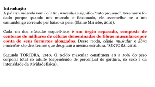 Introdução
A palavra músculo vem do latim musculus e significa “rato pequeno”. Esse nome foi
dado porque quando um musculo e flexionado, ele assemelha- se a um
camundongo correndo por baixo da pele. (Elaine Mariebe, 2010).
Cada um dos músculos esqueléticos é um órgão separado, composto de
centenas de milhares de células denominadas de fibras musculares por
conta de seus formatos alongados. Desse modo, célula muscular e fibra
muscular são dois termos que designam a mesma estrutura. TORTORA, 2010.
Segundo TORTORA, 2010. O tecido muscular constituem 40 a 50% do peso
corporal total do adulto (dependendo do percentual de gordura, do sexo e da
intensidade da atividade física).
 