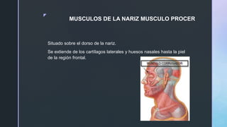 Musulo Procer Este documento describe los músculos de la cabeza y la cara, incluyendo ...