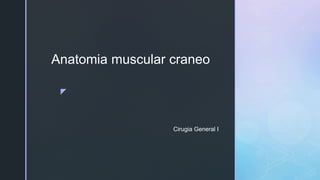 z
Anatomia muscular craneo
Cirugia General I
 