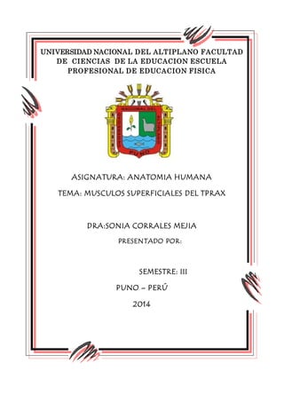 UNIVERSIDAD NACIONAL DEL ALTIPLANO FACULTAD
DE CIENCIAS DE LA EDUCACION ESCUELA
PROFESIONAL DE EDUCACION FISICA
ASIGNATURA: ANATOMIA HUMANA
TEMA: MUSCULOS SUPERFICIALES DEL TPRAX
DRA:SONIA CORRALES MEJIA
PRESENTADO POR:
SEMESTRE: III
PUNO – PERÚ
2014
 