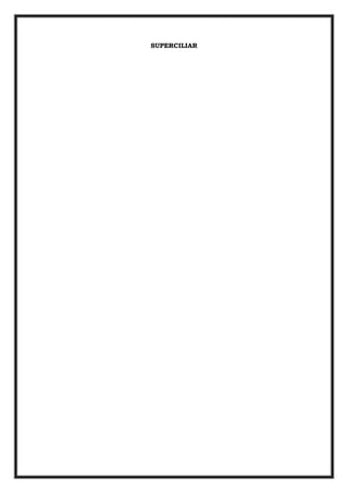 SUPERCILIAR
 