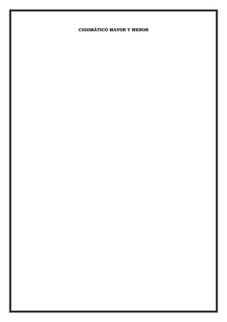 CIGOMÁTICO MAYOR Y MENOR
 
