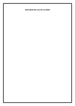 ELEVADOR DEL ALA DE LA NARIZ
 