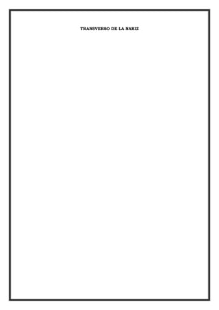 TRANSVERSO DE LA NARIZ
 