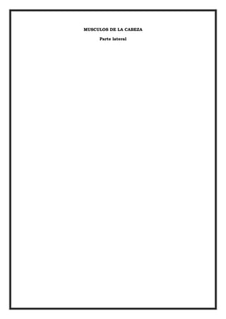 MUSCULOS DE LA CABEZA

     Parte lateral
 