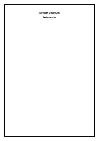 SISTEMA MUSCULAR

  Parte anterior
 