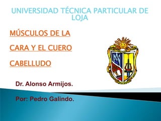 UNIVERSIDAD TÉCNICA PARTICULAR DE
              LOJA

MÚSCULOS DE LA

CARA Y EL CUERO

CABELLUDO

 Dr. Alonso Armijos.

 Por: Pedro Galindo.
 