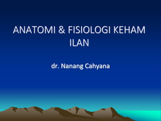 ANATOMI & FISIOLOGI KEHAM
ILAN
dr. Nanang Cahyana
 