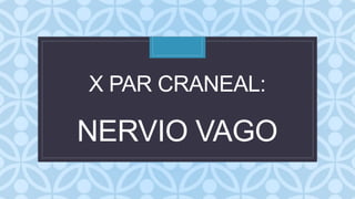 C
X PAR CRANEAL:
NERVIO VAGO
 