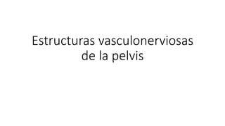 Estructuras vasculonerviosas
de la pelvis
 