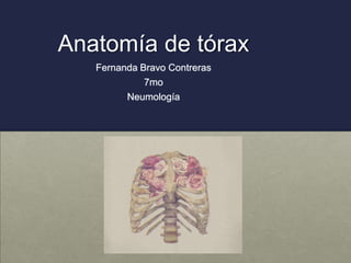Anatomía de tórax
Fernanda Bravo Contreras
7mo
Neumología
 