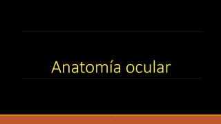Anatomía ocular
I
 