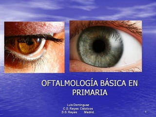 OFTALMOLOGIA BASICA EN PRIMARIA Anatomia  basica 