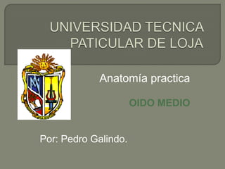 UNIVERSIDAD TECNICA PATICULAR DE LOJA Anatomía practica OIDO MEDIO Por: Pedro Galindo. 