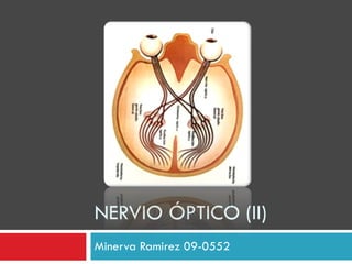 NERVIO ÓPTICO (II) Minerva Ramirez 09-0552 