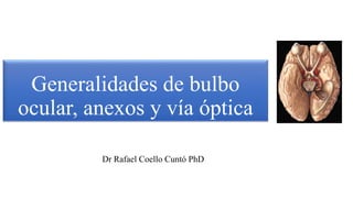 Generalidades de bulbo
ocular, anexos y vía óptica
Dr Rafael Coello Cuntó PhD
 