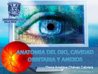 ANATOMIA DEL OJO, CAVIDAD ORBITARIA Y ANEXOS Diana América Chávez Cabrera Oftalmología 