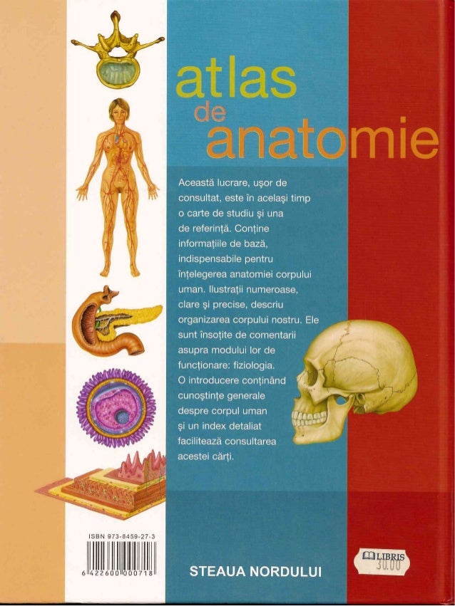 Cele 5 Simturi Ale Omului Anatomia omului