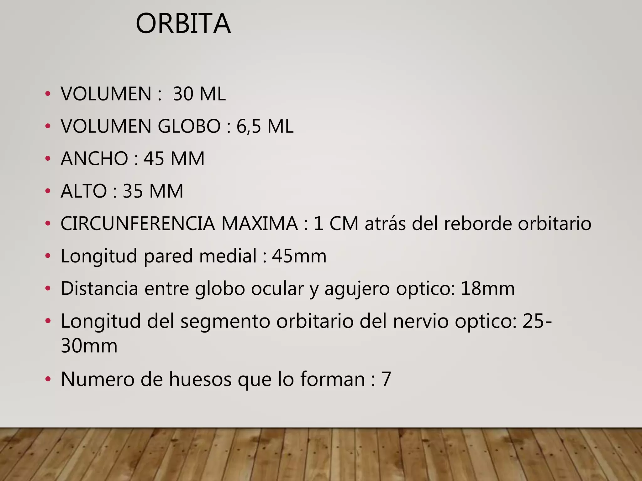 Anatomia orbita | PPTX