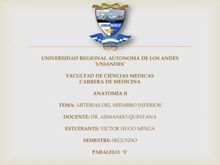 
UNIVERSIDAD REGIONAL AUTONOMA DE LOS ANDES
¨UNIANDES¨
FACULTAD DE CIENCIAS MEDICAS
CARRERA DE MEDICINA
ANATOMÍA ll
TEMA: ARTERIAS DEL MIEMBRO INFERIOR
DOCENTE: DR. ARMANDO QUINTANA
ESTUDIANTE: VICTOR HUGO MINGA
SEMESTRE: SEGUNDO
PARALELO: ¨B¨
 