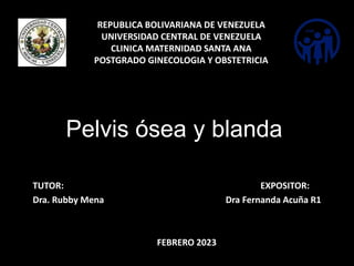 Pelvis ósea y blanda
TUTOR: EXPOSITOR:
Dra. Rubby Mena Dra Fernanda Acuña R1
FEBRERO 2023
REPUBLICA BOLIVARIANA DE VENEZUELA
UNIVERSIDAD CENTRAL DE VENEZUELA
CLINICA MATERNIDAD SANTA ANA
POSTGRADO GINECOLOGIA Y OBSTETRICIA
 