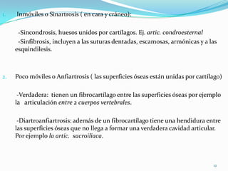 1.

Inmóviles o Sinartrosis ( en cara y cráneo):
-Sincondrosis, huesos unidos por cartílagos. Ej. artic. condroesternal
-Sinfibrosis, incluyen a las suturas dentadas, escamosas, armónicas y a las
esquindilesis.

2.

Poco móviles o Anfiartrosis ( las superficies óseas están unidas por cartílago)
-Verdadera: tienen un fibrocartílago entre las superficies óseas por ejemplo
la articulación entre 2 cuerpos vertebrales.
-Diartroanfiartrosis: además de un fibrocartílago tiene una hendidura entre
las superficies óseas que no llega a formar una verdadera cavidad articular.
Por ejemplo la artic. sacroiliaca.

12

 