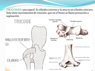 5.

TROCOIDES: una superf. Es cilindro convexo y la otra es un cilindro cóncavo.
Solo tiene movimientos de rotación, que en el brazo se llama pronación o
supinación.

HTAL.PROF. A. POSADAS
DR. PEDRO FERNANDEZ

17

 
