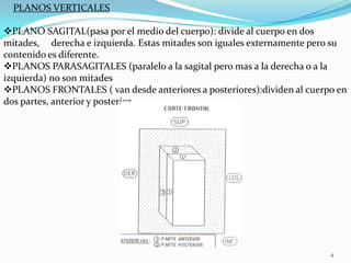 PLANOS VERTICALES

PLANO SAGITAL(pasa por el medio del cuerpo): divide al cuerpo en dos
mitades, derecha e izquierda. Estas mitades son iguales externamente pero su
contenido es diferente.
PLANOS PARASAGITALES (paralelo a la sagital pero mas a la derecha o a la
izquierda) no son mitades
PLANOS FRONTALES ( van desde anteriores a posteriores):dividen al cuerpo en
dos partes, anterior y posterior

HTAL.PROF. A. POSADAS
DR. PEDRO FERNANDEZ

4

 