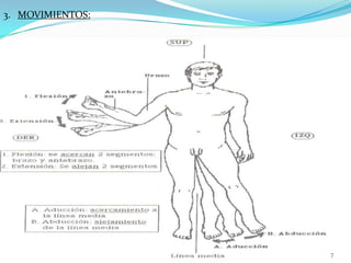 3. MOVIMIENTOS:
1) Deslizamiento: movimiento de las superficies articulares una sobre otra.
2) Oposición: movimiento que el miembro realiza para colocarse
alternativamente en
2 posiciones opuestas, son las siguientes:
.Flexión-extensión: aproximación o alejamiento de 2 segmentos corporales
respectivamente.
.Abducción-aducción: alejamiento o aproximación de la línea media
respectivamente.
3) Circunducción : es el movimiento en forma de cono. Por ejemplo la mano,
siendo
el vértice el hombro y la base la mano.

7

 