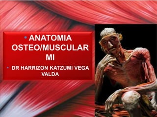 • ANATOMIA
OSTEO/MUSCULAR
MI
• DR HARRIZON KATZUMI VEGA
VALDA
 
