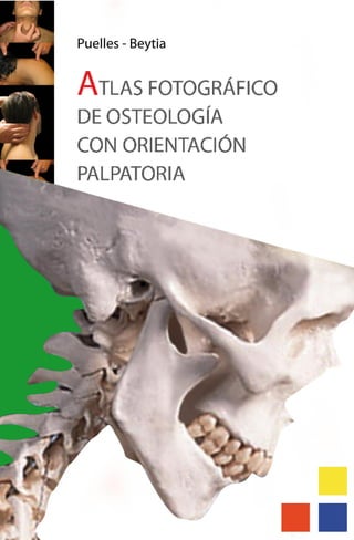 Anatomia palpatoria   (libro) - atlas fotografico de osteologia con orientacion palpatoria (puelles - beytia)   152 pag.