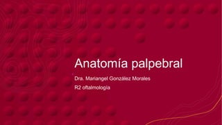 Anatomía palpebral
Dra. Mariangel González Morales
R2 oftalmología
 