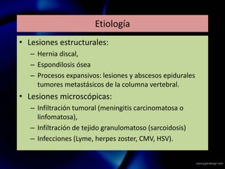 Etiología
• Lesiones estructurales:
– Hernia discal,
– Espondilosis ósea
– Procesos expansivos: lesiones y abscesos epidurales
tumores metastásicos de la columna vertebral.
• Lesiones microscópicas:
– Infiltración tumoral (meningitis carcinomatosa o
linfomatosa),
– Infiltración de tejido granulomatoso (sarcoidosis)
– Infecciones (Lyme, herpes zoster, CMV, HSV).
 