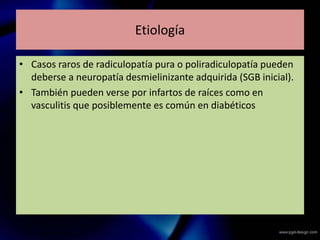 Etiología
• Casos raros de radiculopatía pura o poliradiculopatía pueden
deberse a neuropatía desmielinizante adquirida (SGB inicial).
• También pueden verse por infartos de raíces como en
vasculitis que posiblemente es común en diabéticos
 