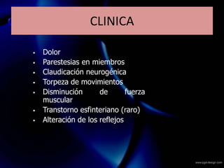  Dolor
 Parestesias en miembros
 Claudicación neurogénica
 Torpeza de movimientos
 Disminución de fuerza
muscular
 Transtorno esfinteriano (raro)
 Alteración de los reflejos
CLINICA
 