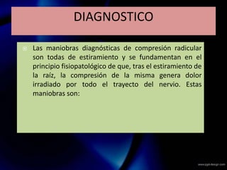  Las maniobras diagnósticas de compresión radicular
son todas de estiramiento y se fundamentan en el
principio fisiopatológico de que, tras el estiramiento de
la raíz, la compresión de la misma genera dolor
irradiado por todo el trayecto del nervio. Estas
maniobras son:
DIAGNOSTICO
 