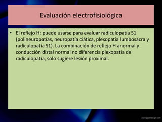 Evaluación electrofisiológica
• El reflejo H: puede usarse para evaluar radiculopatía S1
(polineuropatías, neuropatía ciática, plexopatía lumbosacra y
radiculopatía S1). La combinación de reflejo H anormal y
conducción distal normal no diferencia plexopatía de
radiculopatía, solo sugiere lesión proximal.
 